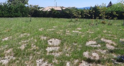Lablachère Terrain à bâtir - 1670969-9707annonce220230830nkuXx.jpeg Maisons Open