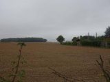  1673244-5407annonce120230901eV6QS.jpeg Maisons Open