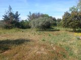  1674357-7060annonce120230504mgSSe.jpeg Maisons Open