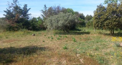 Ventabren Terrain à bâtir - 1674357-7060annonce120230504mgSSe.jpeg Maisons Open