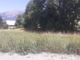  1679158-7183annonce2202309128OlmO.jpeg Maisons Open