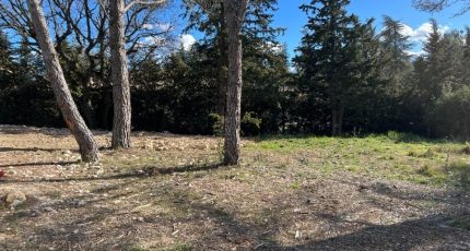 La Bastide-des-Jourdans Terrain à bâtir - 1679169-2970annonce220230912iiVLO.jpeg Maisons Open