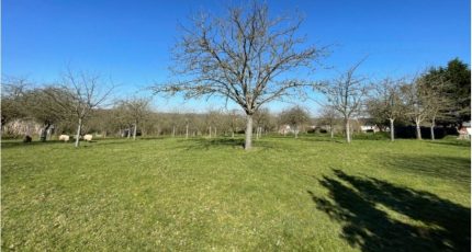 Salindres Terrain à bâtir - 1679585-10672annonce1202309126BcH5.jpeg Maisons Open