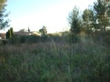  1680109-649annonce220230913HHXw5.jpeg Maisons Open