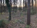  1680555-9637annonce120230913c1fRK.jpeg Maisons Open