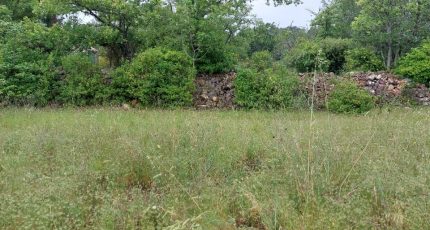 Forcalqueiret Terrain à bâtir - 1679979-5922annonce120230912qKcM0.jpeg Maisons Open
