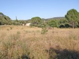  1680578-9911annonce220230913L2Oa3.jpeg Maisons Open
