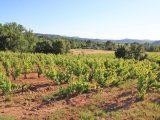  1680605-9911annonce320230913RPFv9.jpeg Maisons Open