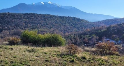 Molitg-les-Bains Terrain à bâtir - 1674216-4671annonce120230904JvXbq.jpeg Maisons Open