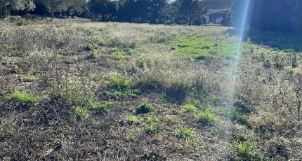 Aubagne Terrain à bâtir - 1682545-9836annonce220230915NCkUR.jpeg Maisons Open
