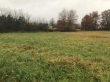  1683828-2684annonce120230918IxmFT.jpeg Maisons Open