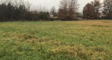 Montans Terrain à bâtir - 1683828-2684annonce120230918IxmFT.jpeg Maisons Open