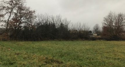 Montans Terrain à bâtir - 1683828-2684annonce320230918T8Kf6.jpeg Maisons Open