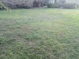  1684243-7066annonce420230919WmqGq.jpeg Maisons Open