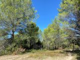  1688305-7008annonce220230925HPpTq.jpeg Maisons Open