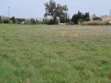  1689562-6929annonce220230926ahctD.jpeg Maisons Open