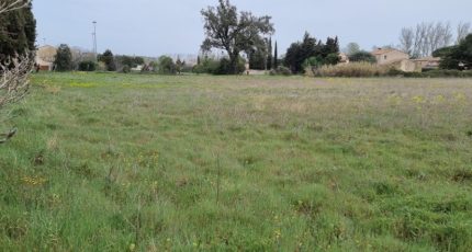 Le Pontet Terrain à bâtir - 1689562-6929annonce220230926ahctD.jpeg Maisons Open