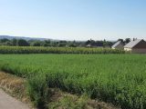  1638863-1703annonce120230626pxcJS.jpeg Maisons Open