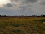  1692964-10419annonce120230929o3IVq.jpeg Maisons Open