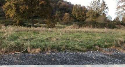 Ossun Terrain à bâtir - 1693885-902annonce120231002sIDd2.jpeg Maisons Open