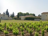  1702795-6929annonce120231012rATrd.jpeg Maisons Open