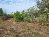  1703587-3133annonce220231013dCs8S.jpeg Maisons Open