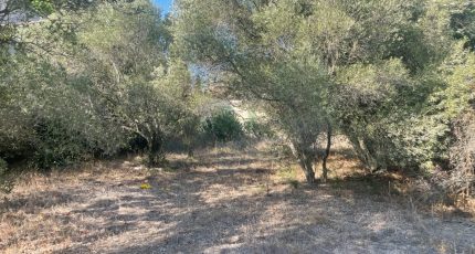 Saint-Rémy-de-Provence Terrain à bâtir - 1705191-3969annonce220231016BqweH.jpeg Maisons Open