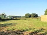  1705629-5165annonce1202306124eI7I.jpeg Maisons Open