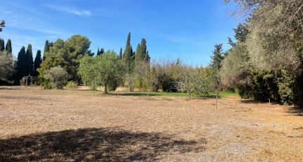 La Crau Terrain à bâtir - 1702888-10678annonce220231012SpbXx.jpeg Maisons Open