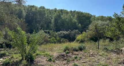 Cuers Terrain à bâtir - 1705720-5622annonce220231017Ig6Qr.jpeg Maisons Open