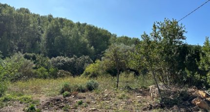 Cuers Terrain à bâtir - 1705720-5622annonce320231017wHK9l.jpeg Maisons Open
