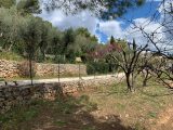  1705748-5622annonce120231017pKsUu.jpeg Maisons Open