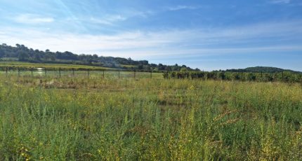 Saint-Martin-de-la-Brasque Terrain à bâtir - 1706434-6932annonce120231018y28TS.jpeg Maisons Open