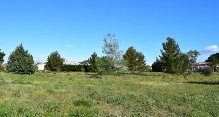Domazan Terrain à bâtir - 1709949-617annonce220231023gFhFD.jpeg Maisons Open