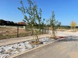  1654534-1703annonce120230721oJqxR.jpeg Maisons Open
