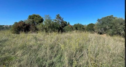 Beaucaire Terrain à bâtir - 1710840-617annonce220231024su9PS.jpeg Maisons Open