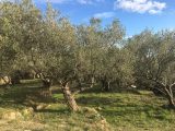  1707375-10678annonce120231019Cwizg.jpeg Maisons Open