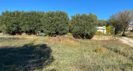 Saint-Cyr-sur-Mer Terrain à bâtir - 1713302-5622annonce320231026zqcnT.jpeg Maisons Open