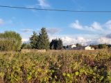 1723045-6929annonce220231109ntUI5.jpeg Maisons Open
