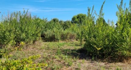 Camaret-sur-Aigues Terrain à bâtir - 1723766-6929annonce3202311106uqtl.jpeg Maisons Open