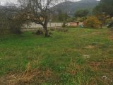  1729137-7069annonce220231117iUuL8.jpeg Maisons Open