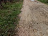  1729938-7066annonce320231117hidOt.jpeg Maisons Open