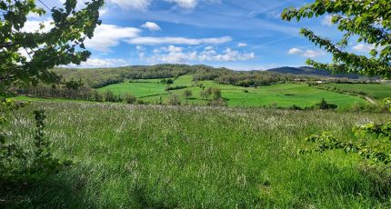 Coussa Terrain à bâtir - 1728038-3133annonce420231116BQmVe.jpeg Maisons Open