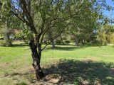  1730505-4590annonce220231119XRszq.jpeg Maisons Open