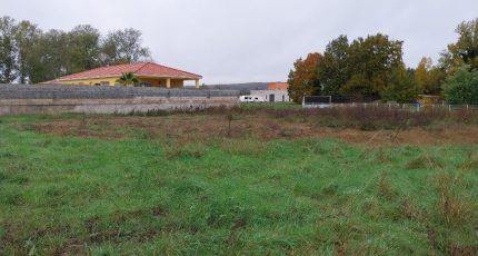 Marssac-sur-Tarn Terrain à bâtir - 1733409-10419annonce120231122BenqR.jpeg Maisons Open