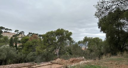 Hyères Terrain à bâtir - 1738942-4590annonce220231130efptH.jpeg Maisons Open
