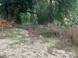  1740964-10745annonce120231205c0uA8.jpeg Maisons Open
