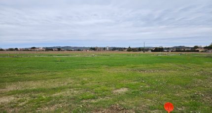 Labarthe-sur-Lèze Terrain à bâtir - 1743810-6043annonce220231208tIzhC.jpeg Maisons Open