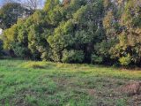  1749630-6929annonce120231218BSVwM.jpeg Maisons Open