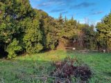  1749630-6929annonce320231218elCw4.jpeg Maisons Open